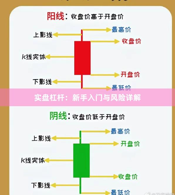 实盘杠杆：新手入门与风险详解